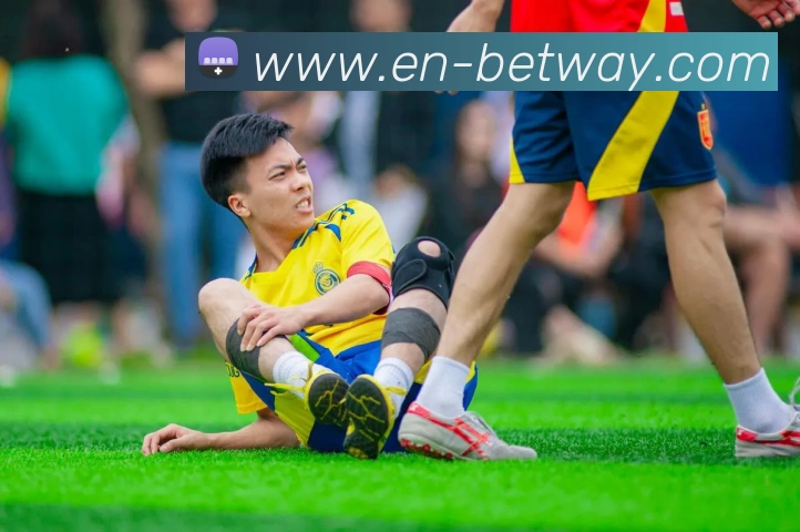 世界杯网上购票平台平台生态图