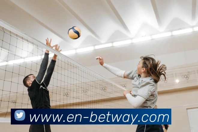 世界杯网上购票平台APP 封面图